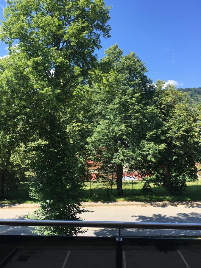 Rezidencia Amelia - Apartman Sofia Bardejovské Kúpele Dış mekan fotoğraf